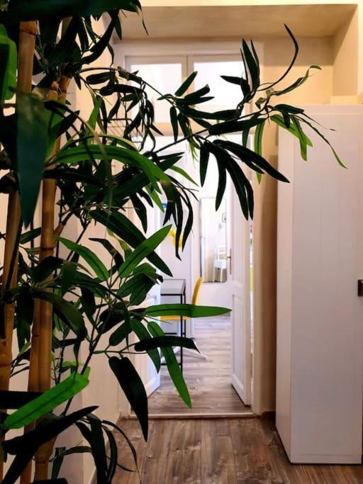Charming House Apartment Rom